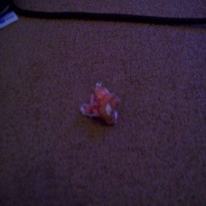 Got rid of my tooth Goodbye annoying tooth