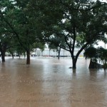 Flash Flood Flash Flood