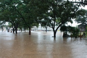 Flash Flood Flash Flood